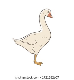 Cute Goose. Contour Vector Illustration.