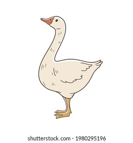 Ziegengans. Konturvektorgrafik.