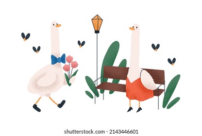 Cute goose couple on romantic date. Funny birds in love. Kids character with flower bouquet meeting adorable animal in park. Fairytale childish flat vector illustration isolated on white background