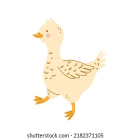 Cute goose or duck isolated on white background. Cartoon domestic bird, farm poultry, fowl, waterfowl. Vector children illustration for card, print, poster. Farming, agriculture, country life