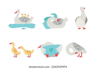 Personajes de burla y chismorreo. Dibujo vectorial de dibujos animados domésticos de aves acuáticas