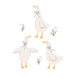 Cute Goose On Farm - Vector Print. Vector Illustration In Flat Style