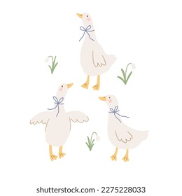 Cute goose on farm - vector print. Vector illustration in flat style