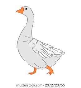 Cute goose on white background