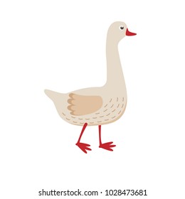 Cute goose vector flat illustration isolated on white background. Farm animal goose cartoon character.