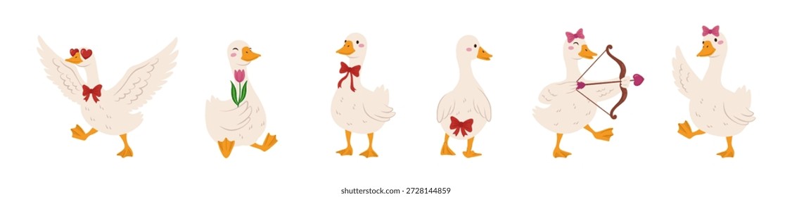 Conjunto de Ilustración vectorial de ganso lindo con personajes de gansos adorables en diferentes poses, pájaros de dibujos animados planos románticos y juguetones para San Valentín, tarjetas, pegatinas, diseños de viveros, empaques y patrones
