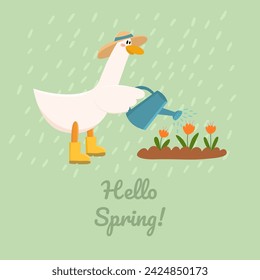 Cute goose with a watering can in his hand watering flowers. Springtime. Hello Spring. Used for greeting card, and poster design.