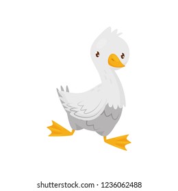 Cute goose with white feathers, orange beak and legs. Farm bird. Domestic fowl. Flat vector icon