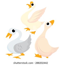 Cute gooses and ducks vector illustration.
