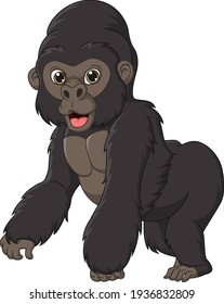 Cute gorilla cartoon isolated on white background