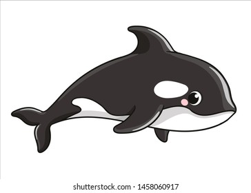 Cute grampus whale on a white background in cartoon style. Vector illustration with mammal in cartoon style.
