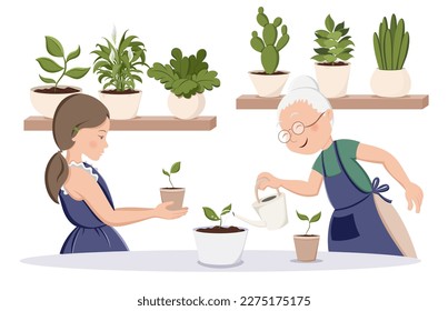 Cute grandmother and granddaughter are watering the sprouts together. Home garden, potted plants on shelves. Family hobby time. Home decor and gardening concept. Isolated vector illustration	