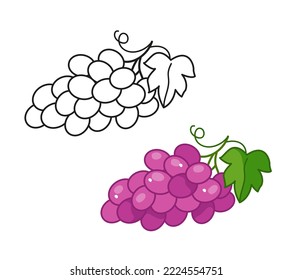 Cute grapes, black line. Coloring book for children's educational task. Vector illustration of a bunch of fruit grapes in a cartoon childish style. Isolated funny clipart on white background.