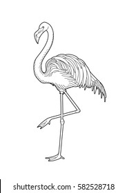 Cute graphic flamingo in the side view. Pretty exotic bird isolated on white background. T-shirt print or tattoo illustration. Coloring book page design for adults