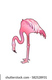 Cute graphic flamingo in the side view. Pretty exotic bird isolated on white background. T-shirt print or tattoo design