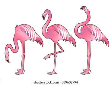 Cute graphic flamingo in the side view. Pretty exotic birds isolated on white background. T-shirt print or tattoo design
