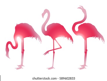 Cute graphic flamingo in the side view. Pretty exotic birds isolated on white background. T-shirt print or tattoo design