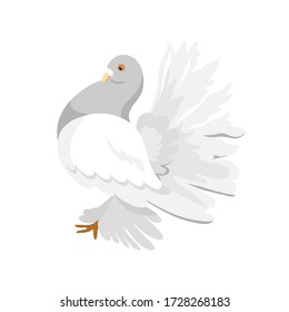Cute graphic pigeon. Isolated on a white background. Vector stock illustration.