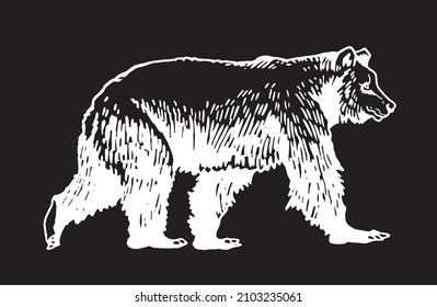 Cute graphical bear running in momment. Grizzly on black background 