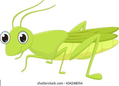 Cute grasshopper cartoon