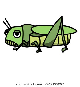 cute grasshopper cartoon drawing transparent background vector illustration