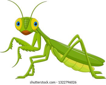 Cute grasshopper cartoon - Green Mantis