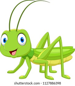 Cute grasshopper cartoon isolated on white background 