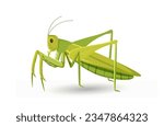Cute grasshopper concept. Green insect with many paws. Wild life and ecosystem, zoology. Poster or banner for website. Cartoon flat vector illustration isolated on white background