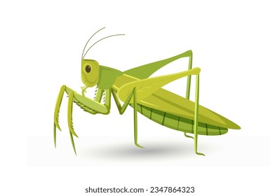 Cute grasshopper concept. Green insect with many paws. Wild life and ecosystem, zoology. Poster or banner for website. Cartoon flat vector illustration isolated on white background