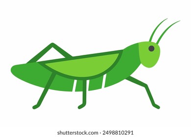  Cute Grasshopper Cookie Cutter Vector