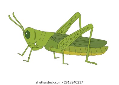 Cute grasshopper flying cartoon. Insect character isolated on a white background. Grasshopper clipart vector illustration.