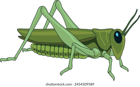 Cute grasshopper looking furiously illustration