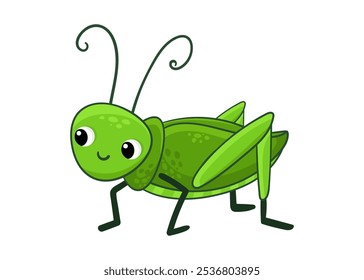 Saltamontes lindos en un fondo blanco. Ilustración vectorial con insecto en estilo de dibujos animados.