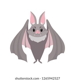 Cute gray bat, funny creature cartoon character vector Illustration on a white background