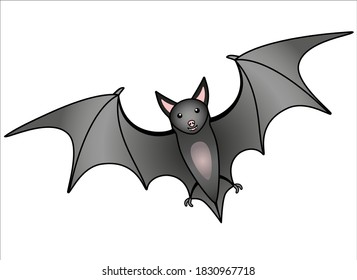 Cute gray bat - vector full color illustration. The flying fox is a bats mammal. The flying animal is a bat.