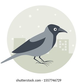 Cute gray and black crow or raven in cartoon style in a round frame on a background of a winter city.
