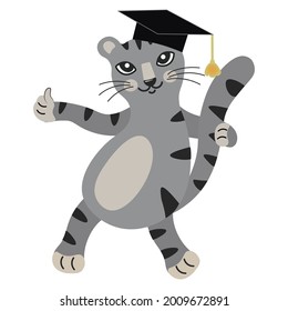 Cute gray cartoon kitten in graduation hat shows thumbs up. The smart cat is ready to learn. Back to school. Educational mascot. Isolated vector. Cat character design as postcard, banner, poster.