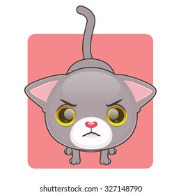 Cute gray cat being angry