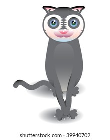 cute gray cat with blue eyes