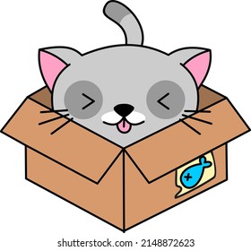lindo gato gris en cartón