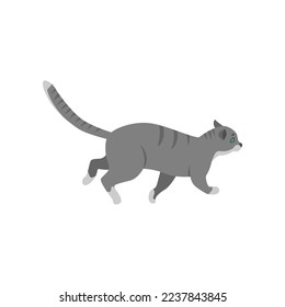 Cute gray cat cartoon character walking vector illustration. Pet on walk or in chase isolated on white background. Animals concept for game design