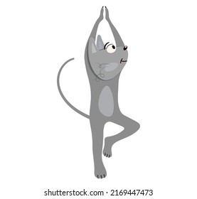 Cute gray cat is doing yoga. Funny gray kitten in tree pose isolated illustration. Cartoon flat style.