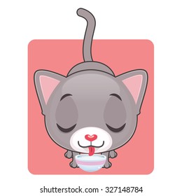 Cute gray cat eating milk