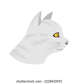 Cute gray cat in flat vector style.