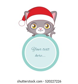 Cute gray cat holding a circular frame