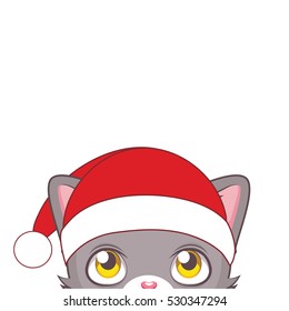 Cute gray cat looking up with blank background