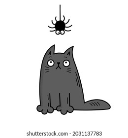 A cute gray cat looks at a spider. Halloween. Doodle style illustration