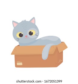 Cute gray cat lying in the cardboard box. Cartoon vector illustration