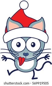 Cute gray cat with pointy ears, long tail and wearing a Christmas Santa hat while wide opening its eyes, stretching its arms, smiling enthusiastically and making funny faces