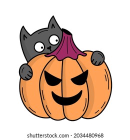 Feine graue Katze mit Kürbis zu Halloween. Doodle-Stil-Illustration